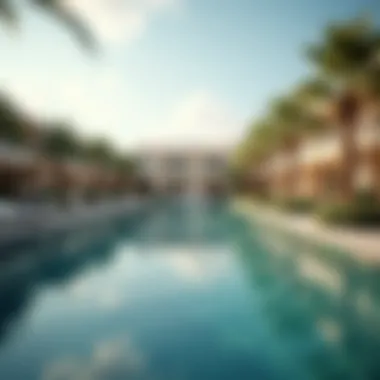 Amenities and Lifestyle of DAMAC Lagoons Amenities and lifestyle features in DAMAC Lagoons