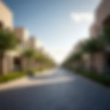 Market Trends in Dubai Meadows Market trends and investment opportunities in Dubai Meadows